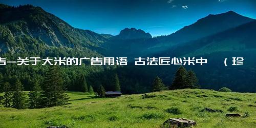 广告-关于大米的广告用语 古法匠心米中臻（珍）品